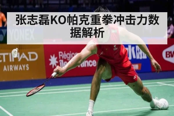 张志磊KO帕克重拳冲击力数据解析