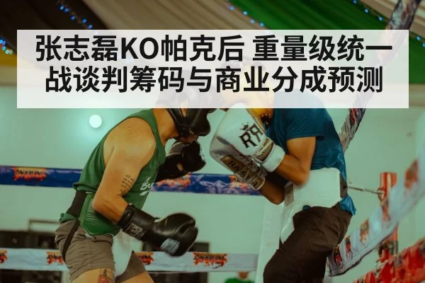 Zhang Zhilei boxing